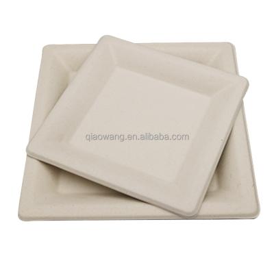 China Wholesale Disposable Oversized Luxury Oval Square Bagasse Pulp Disposable Dinner Dish for sale