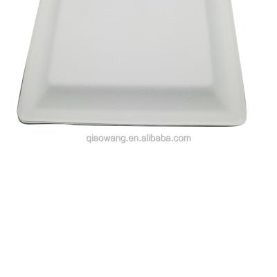 China Modern Eco - Friendly Compostable High Quality Reusable Bagasse Square Dinner Plates for sale