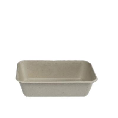 China Modern Custom Rectangle Supermarket Tray Disposable Sushi Bagasse Sugarcane Compostable Tray for sale