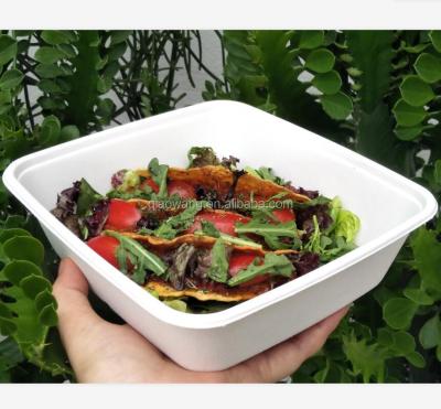 China Biodegradable Compostable 1250ml Disposable Paper Plates Lunch Tray Food Containers for sale