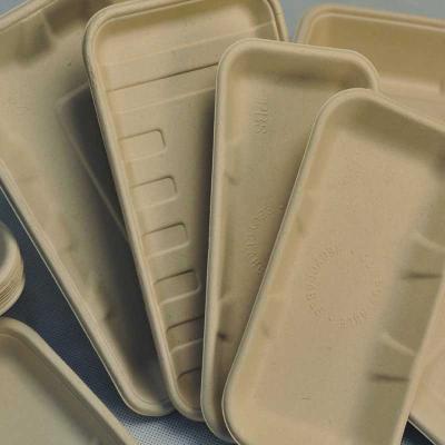 China Modern Bagasse Paper Fiber Sugarcane Tray Supermarket Disposable Fruit Tray Compostable Eco Friendly Tray for sale