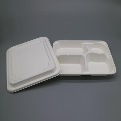 China Modern Biodegradable 4/5 Compartment Eco Sugar Cane Bagasse Lunch Trays With Lid For Food for sale