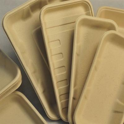 China Disposable Eco-friendly Compostable Healthy Disposable Sushi Food Tray Sugarcan Bagass Food Tray for sale