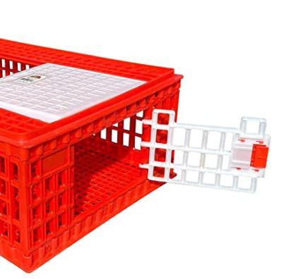 China High Quality Plastic Farms Poultry Transport Cage for sale