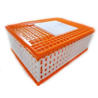 China Durable High Performance 3 Doors Plastic Transport Chicken Cages With Low Price for sale