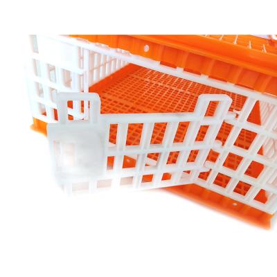 China Farms Transport Plastic Chicken 10-15 Crate Poultry Transport Cage for sale