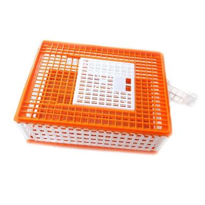 China Live Chicken Broiler Transport Crate Plastic Box Durable 3 Doors Poultry Cages for sale