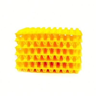 China Eco-friendly PVC Egg Tray Quail Egg Holder Plastic Quail Egg Trays For Sale for sale