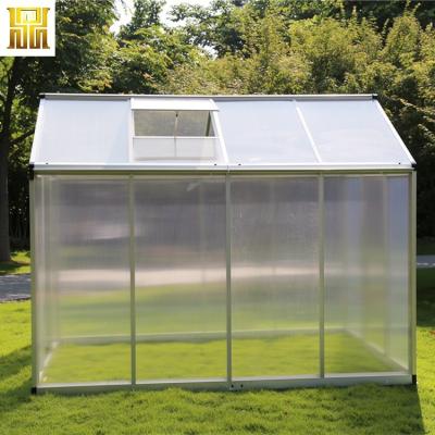 China Easily Assembled Mini Single Span Garden Polycarbonate Flower Greenhouse for sale