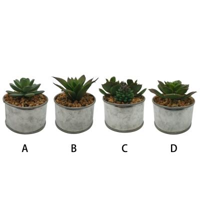 China Home Office Shelf Decoration Artificial Succulent Plant Galvanized Potted Succulent for sale