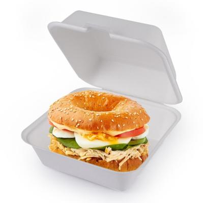 China water & HB024 Biodegradable Oil Resistance Sugarcane Bagasse 6x6 Inch Burger Burger Box for sale