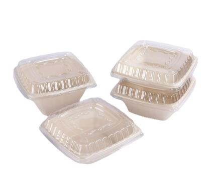 China water & Oil Resistance SQS 820 Compostable Square Bagasse Sugar Cane Bagasse Boxes for sale