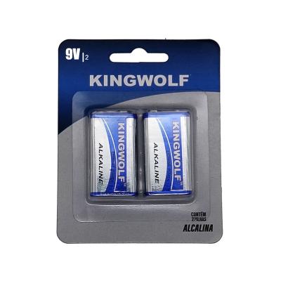 China China brand alkaline battery Suppliers AAA AA C D 9V Alkaline Dry Battery zu verkaufen