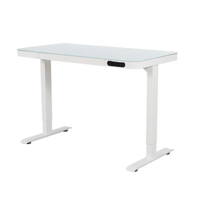 China Home Office Smart Ergonomic Electric Height Adjustable (Height) Adjustable Standing Desk for sale