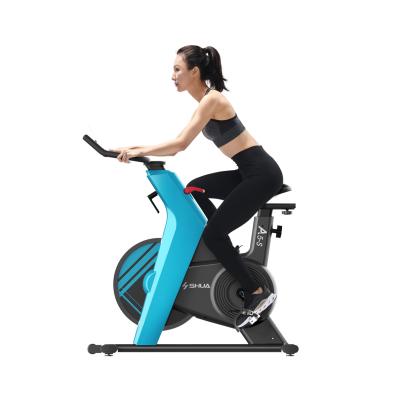 China Universal Shipping & Handling - B599 Dynamic Styling Profile Magnetron Resistance 13KG Flywheel Spinning Bike for sale