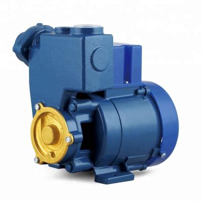 China GP-125A 0.16Hp Water Supply Self-sucking Water Pump for sale