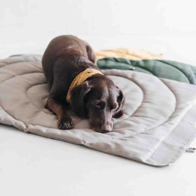 China Yangyangpet Mechanical Luxury Minimalist Travel Washing Compass Travel Waterproof Portable Dog Blanket for sale