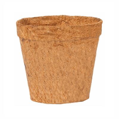 China Modern Biodegradable Thickened Round Coconut Shell Fiber Flower Pot Coconut fiber flower pot for sale