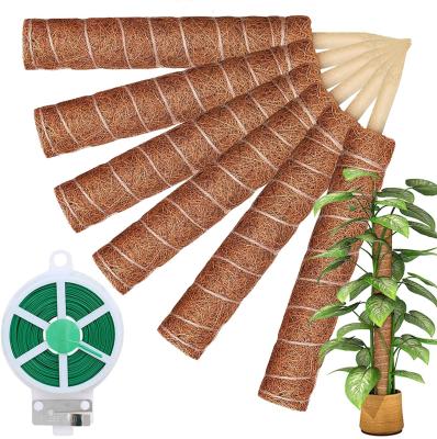 China Modern Yard Garden Plant Growing Stick Natural Biodegradable Coconut Tree Bars Hollow Cylinder Can Be Set for sale