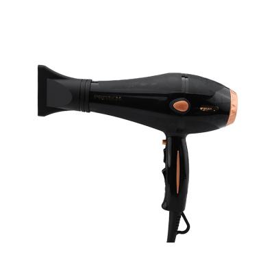 China PRITECH factory price purchase professional ac motor ionic salon hair dryers for sale for sale