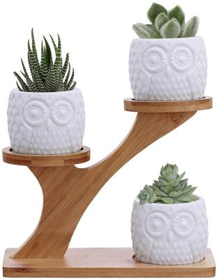 China Modern Owl Succulent Pots with 3 Row Bamboo Saucers Stand Holder - White Modern Decorative Ceramic Flower Planter Plant Pot with Drain for sale