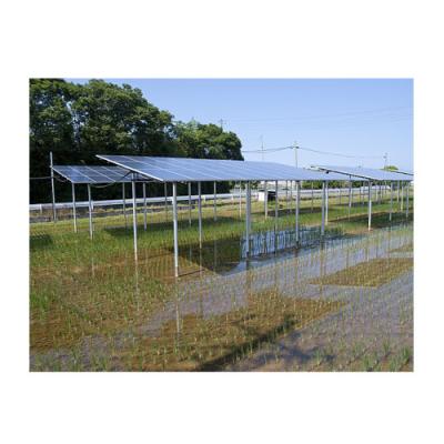 China Easy Install Solar Aluminum Or Steel Agriculture Ground Support System Greenhouse For Farmland for sale