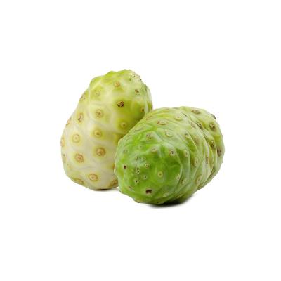 China China Hainan HuaYong Noni fresh fruit for sale