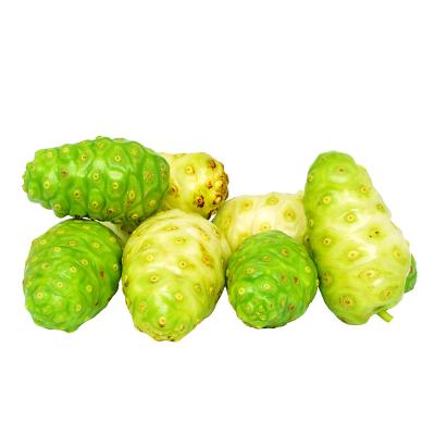 China Fresh Factory Processing and Pressing Fruit Juice Processing Filling Fruits and Vegetables Pressing Juice Noni Fruit Pressing OEM for sale