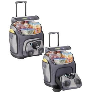 China Portable Radio Cooler Bag for sale