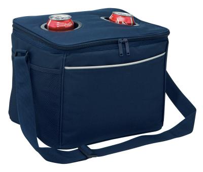 China Blue Radio Cooler Bag for sale