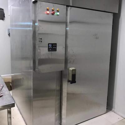 China Commercial Restaruant Stainless Steel Walk In Blast Freezer And Food Factory Food Factory Walk In Shock Freezer Machines for sale