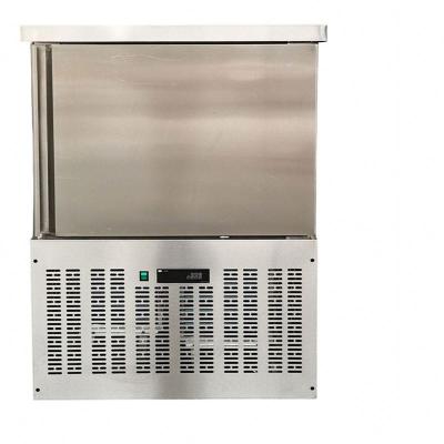 China Single-temperature 100kg/h fast fast fish freezing machine/squid blast freezer/tunnel freezer for sale