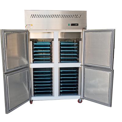 China Single-temperature Freezing commercial four-door air-cooled freeze refrigerator iqf free freezing plug-in freezer for sale