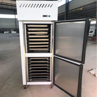 China Single-temperature high quality commercial quick freezing four-door air-cooled instant freezer for sale