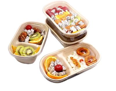 China Recycled Materials Wholesale Compostable Recycled Biodegradable Eco Friendly Disposable Take Away Series Bagasse Salad Box With Clear Lid for sale