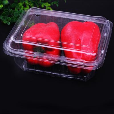 China Biodegradable Clear Disposable Fruit Vegetable Salad Pet Fresh Cut Plastic Containers With Hinged Lids for sale