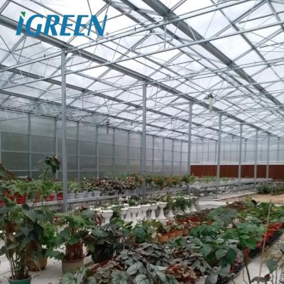 China PC Sheet Polycarbonate Commercial Sheet Agricultural Greenhouses for sale