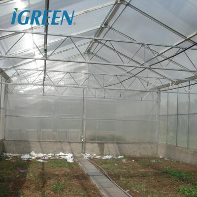 China PC Sheet Single Span Polycarbonate Sheet Greenhouse For Orchid Flower for sale