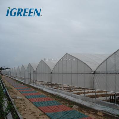 China Single Layer PE Agricultural Greenhouses For Vegetable for sale