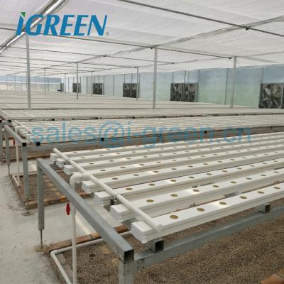 China PE multi-tunnel agricultural greenhouses purchase for hydroponics system for sale