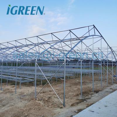 China Agricultural PE greenhouse with roof vent for vegetable for sale