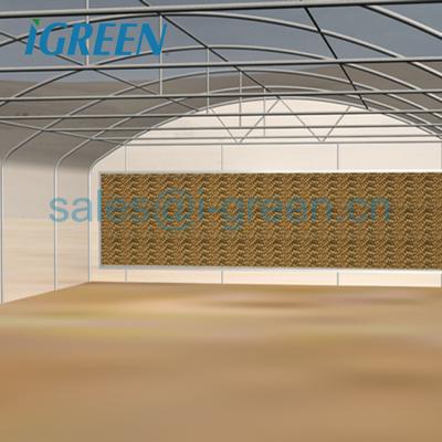 China PE Single Wall Polycarbonate Straight Sheet Vegetable Tunnel Greenhouse From China For Tractor To Go Through for sale