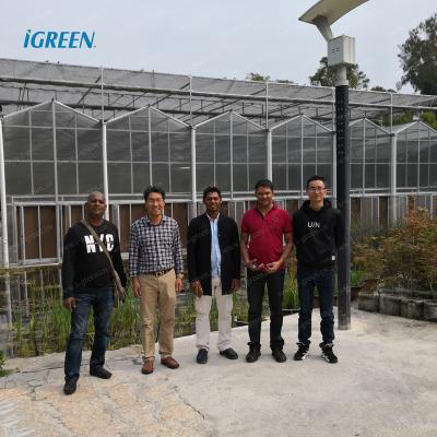 China Industrial Commercial PC Sheet Polycarbonate Sheet Greenhouse For Flower for sale