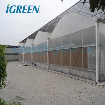 China Cheap Prefabricated PE Plastic Sheet Greenhouse For Research for sale