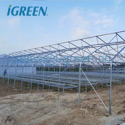 China Structure Strong Low Cost And Cheap Vegetable Strong Frame Greenhouse Steel Structure for sale