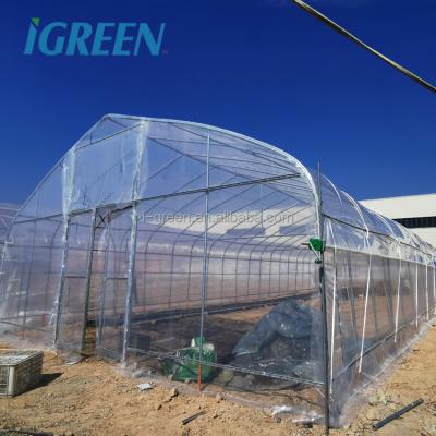 China China PE Multi-Span Agricultural Vegetable Greenhouses for sale