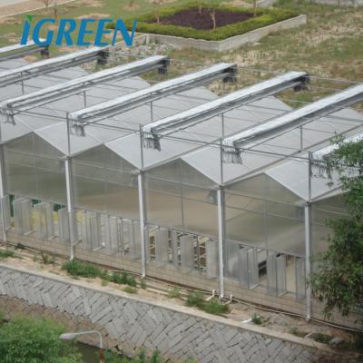 China PC Sheet Used Polycarbonate Sheet Greenhouse For Roses for sale