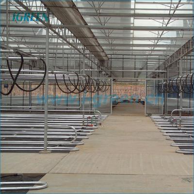 China commercial glass smart glass greenhouse for sale for sale