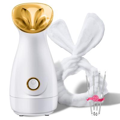 China Private label nano ionic facial moisturizer steamer facial steamer sprayer for home for sale