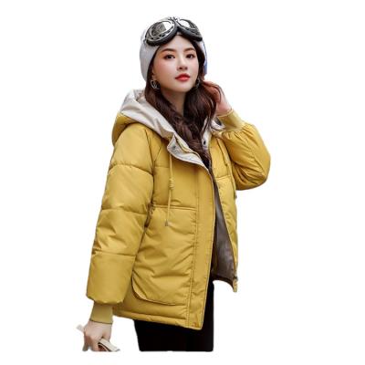 China Hot Sale Waterproof Customized Waterproof Winter Women Jacket for sale